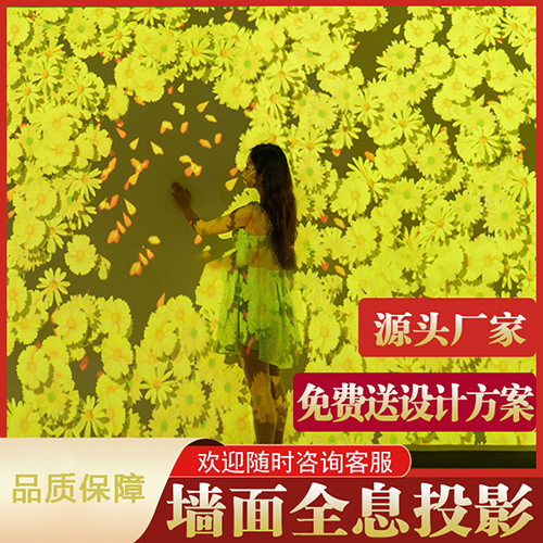 全息觸碰互動投影墻面感應(yīng)地面海浪互動投影3d體感互動投影餐廳沉浸式投影兒童樂園走廊地面激光互動投影廠家